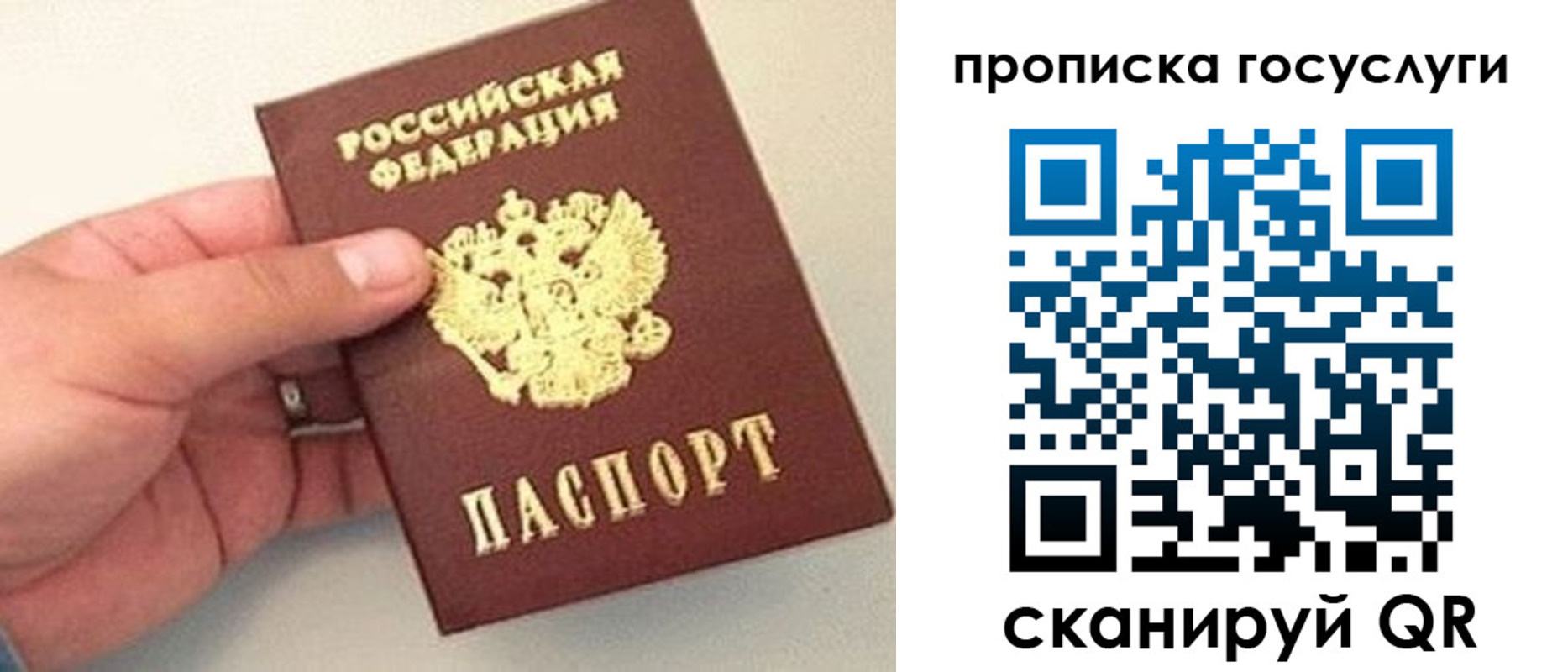 где прописаться в Жукове